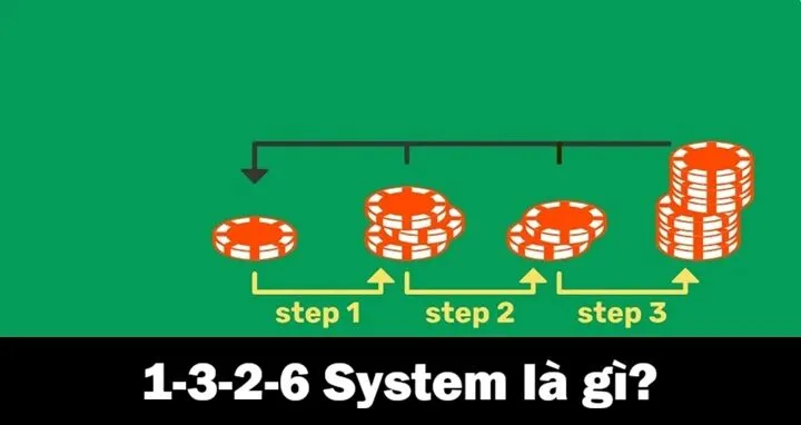 1-3-2-6 System được hiểu là gì? 