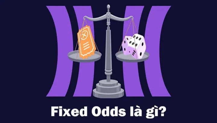 Giới thiệu về Fixed Odds